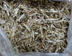 Dried unboiled Anchovy (Sprats)